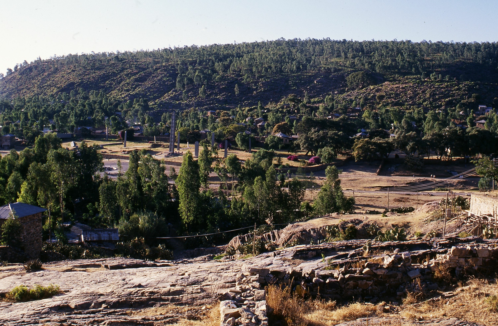 Vue générale du centre du site
