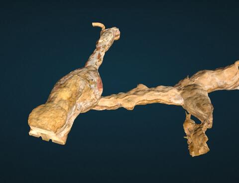 Modèle 3D de la grotte de Lascaux