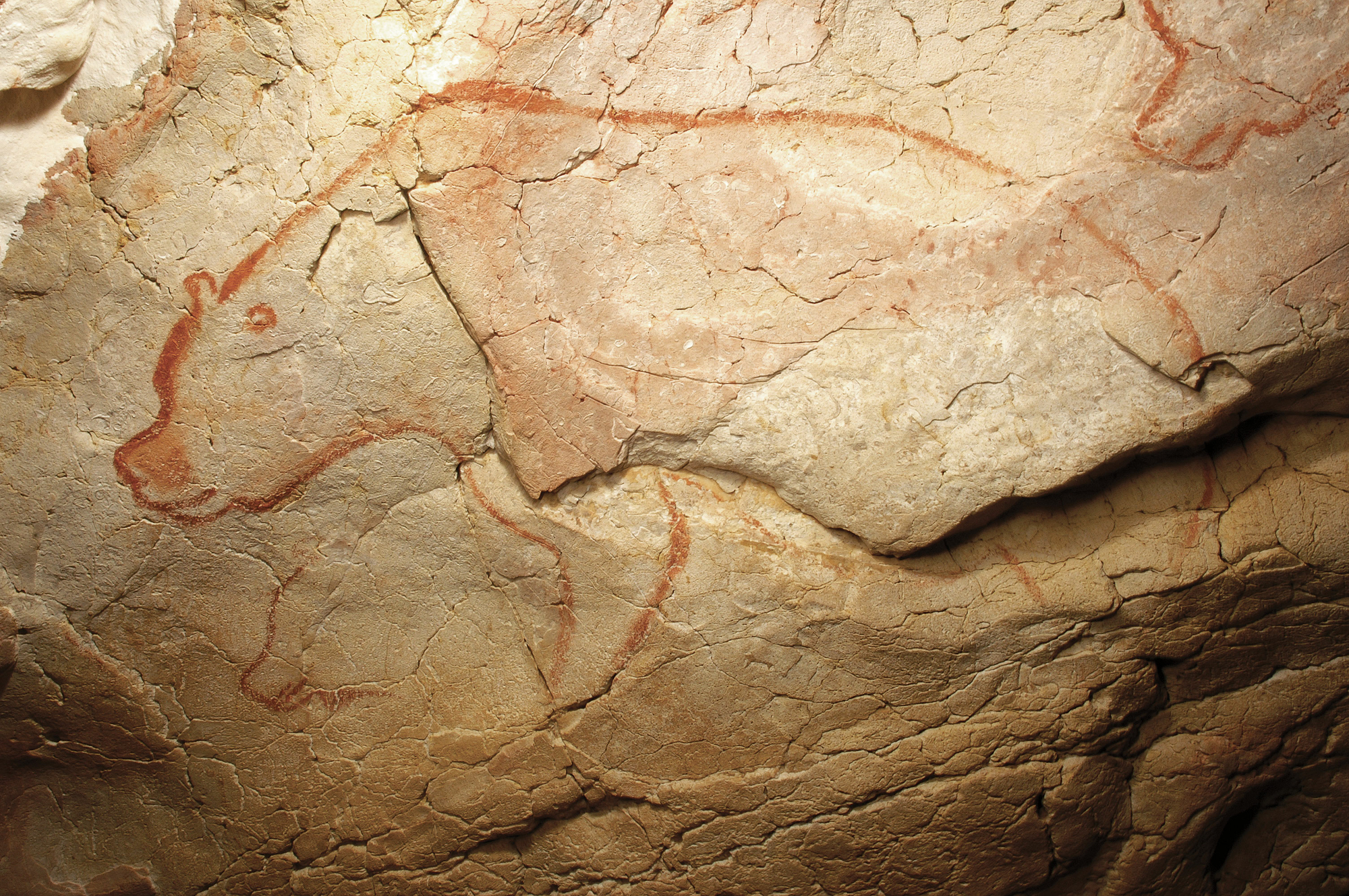 The Chauvet Pont d Arc cave