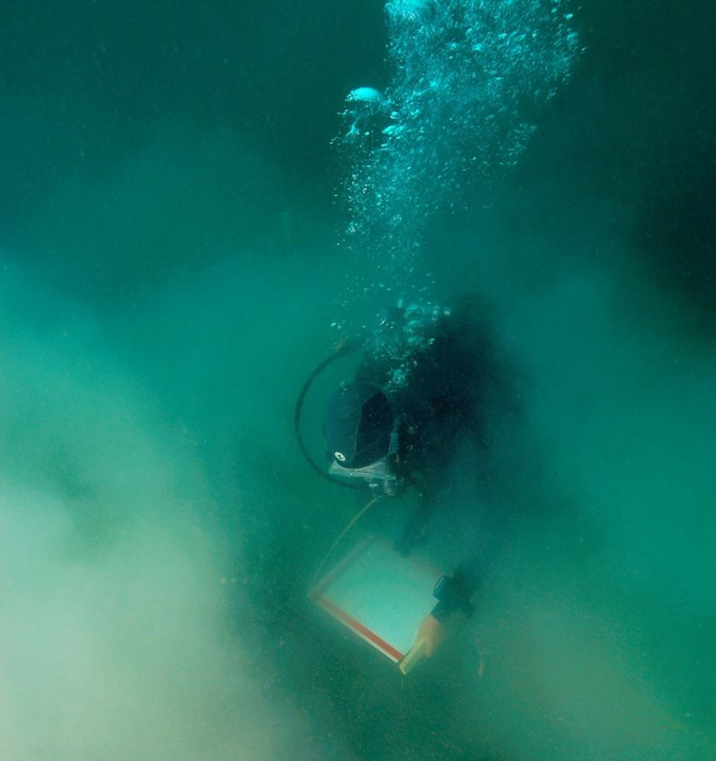 Photographie sous-marine d'un plongeur effectuant un relevé