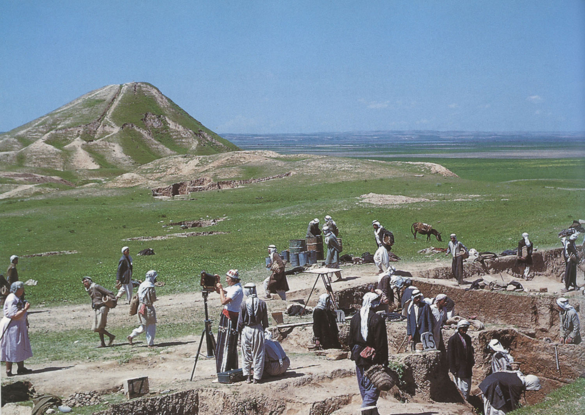 Fouilles de Nimrud en 1953. cl. Joan Oates / British Institute for the Study of Iraq