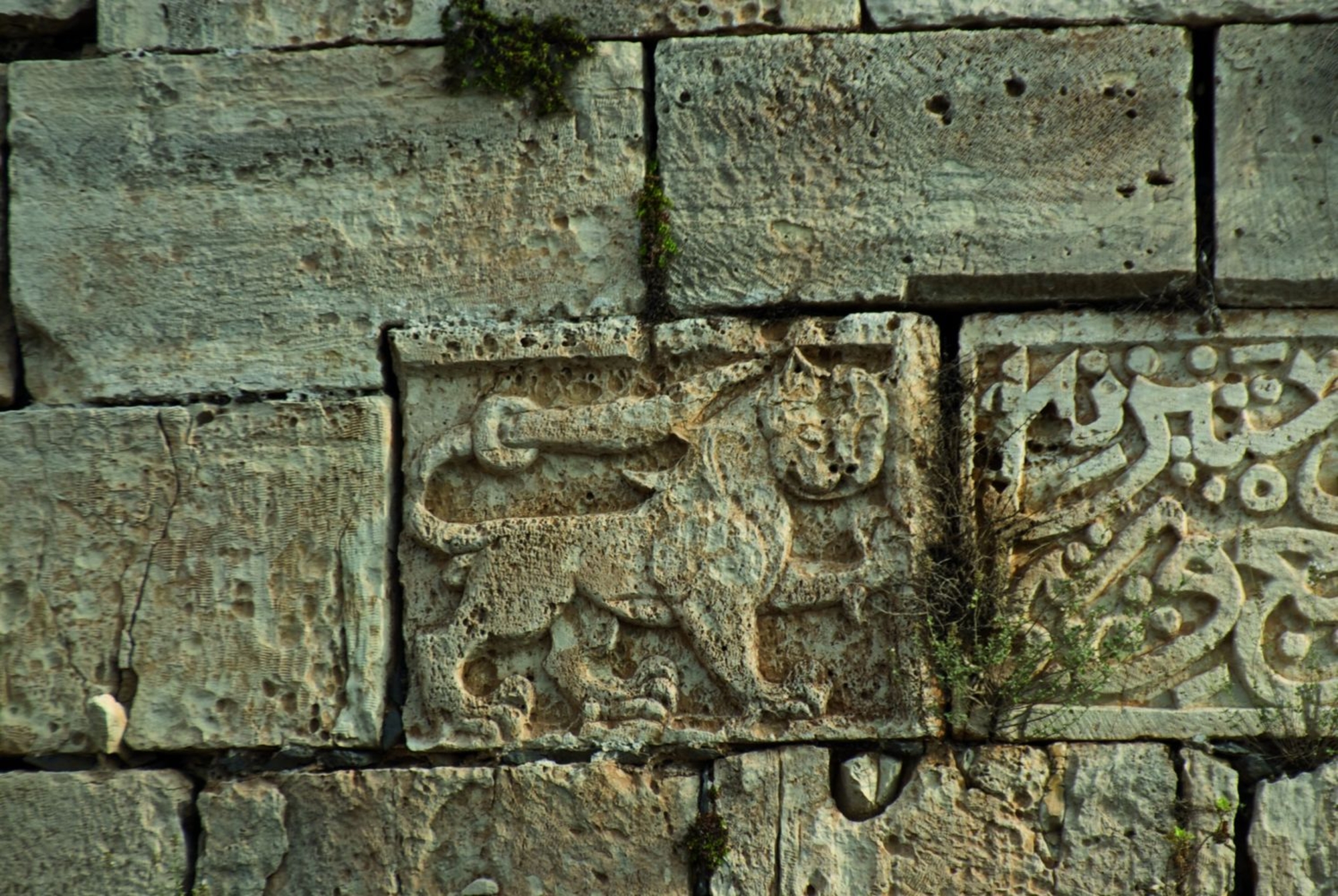 Vue d'un relief du Crac des Cehvaliers (Krak)