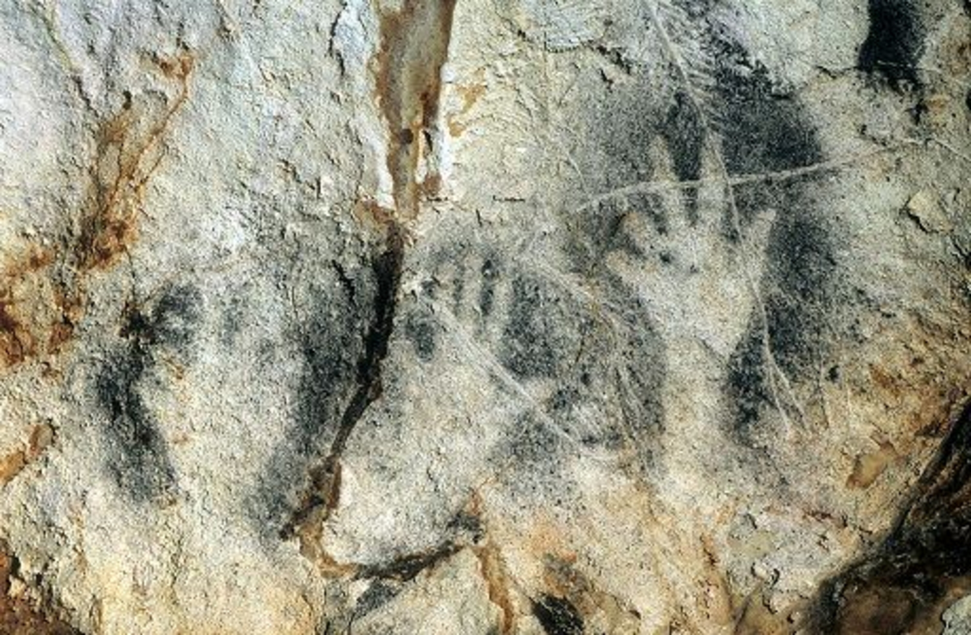 Photographie de trois mains en négatif provenant de la Grotte Cosquer