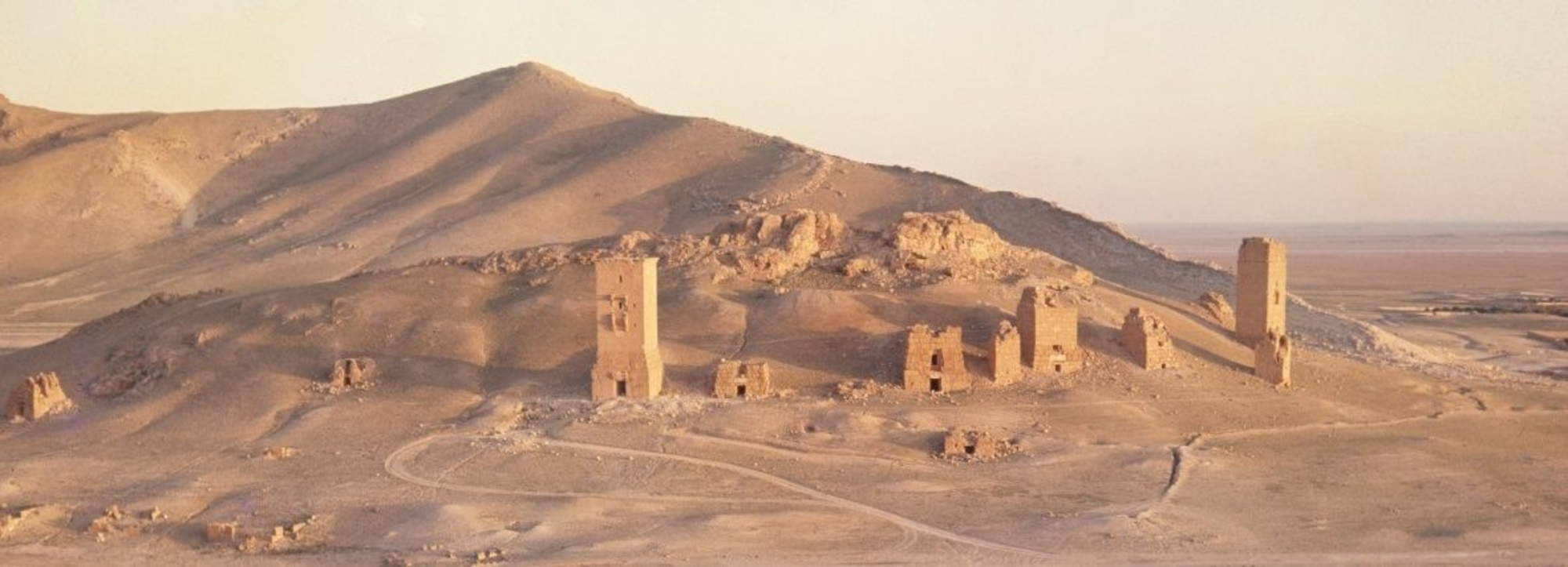 Vue générale de la vallée des tombeaux de Palmyre