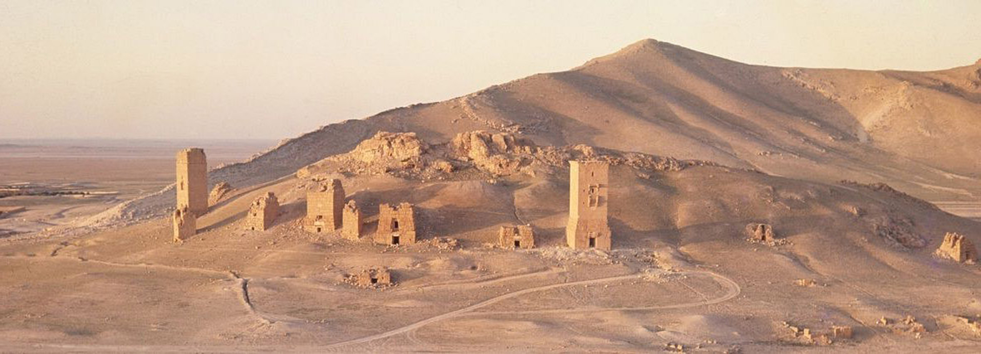 Vue générale de la vallée des tombeaux de Palmyre