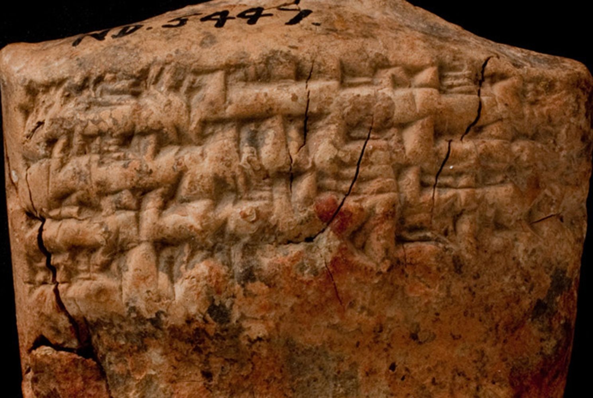Détail de la tablette cunéiforme mésopotamienne ND 5447