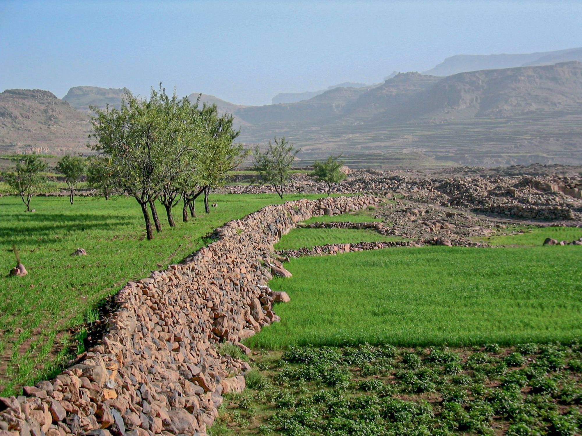 Hautes terres à l’ouest de Sanaa. Jérémie Schiettecatte (CNRS, UMR 8167, Orient & Méditerranée, Paris)