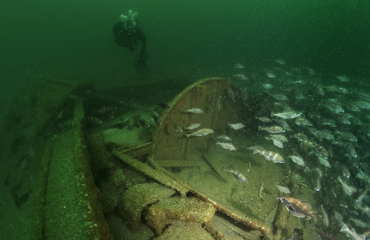 Épave d’une barge citerne coulée au large des plages du Débarquement