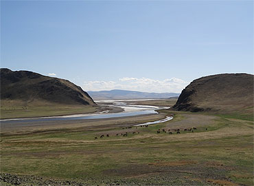 Paysage de steppe mongole (vallée de l'Orkhon) évoquant le paysage de l'Europe de l'Ouest il y a environ 15000 ans